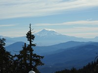 X2019-01-14 1201 OK Beautiful. Just one more picture of you!.jpg